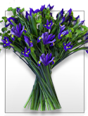 Moonshadow - Deep Blue Iris Bouquet